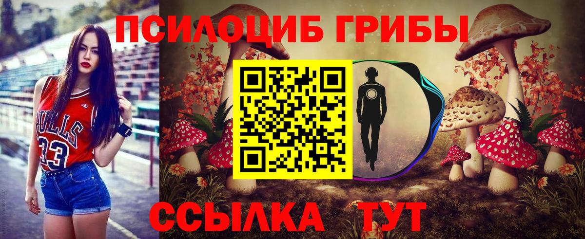Тверь  Псилоцибиновые грибы мухоморы  Вход с VPN  Галлюциногенные грибы прущие грибы 